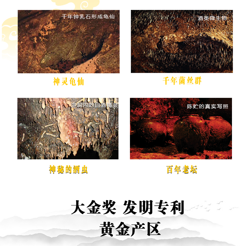 金奖洞藏_10.jpg